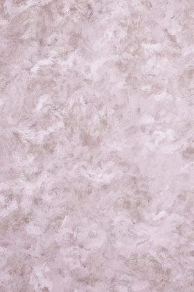 愛(ài)麗斯?絲綢12